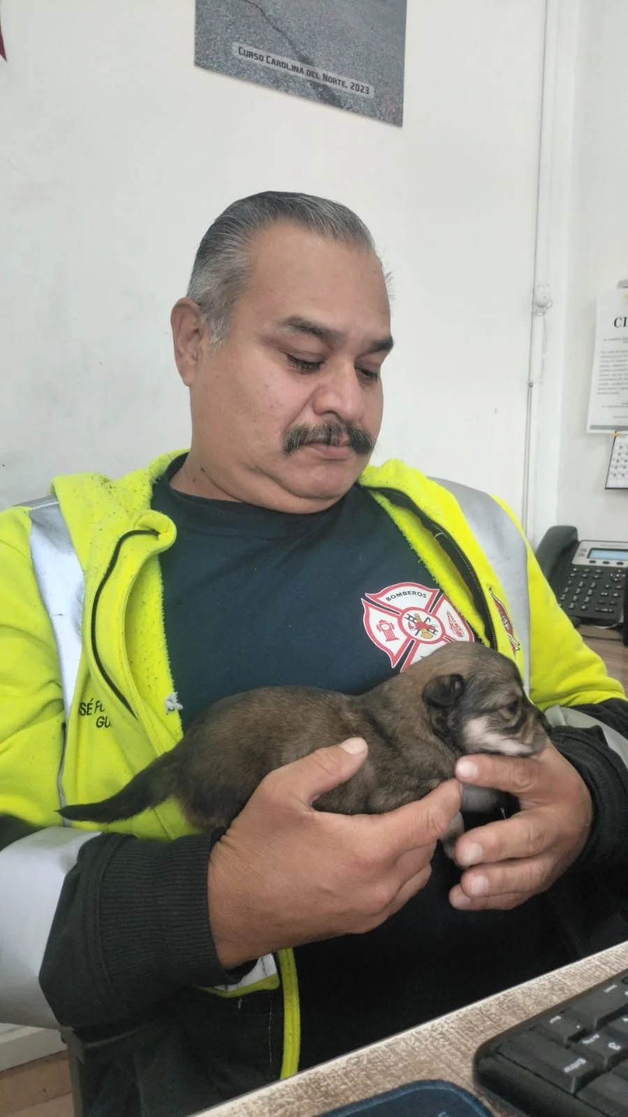 Abandonan a perritos en estación de bomberos Torreón y buscan adoptantes