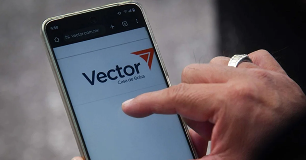 Según el decreto publicado en el DOF, Vector Casa de Bolsa fue quien solicitó a las autoridades del sistema financiero que se le retirara su licencia