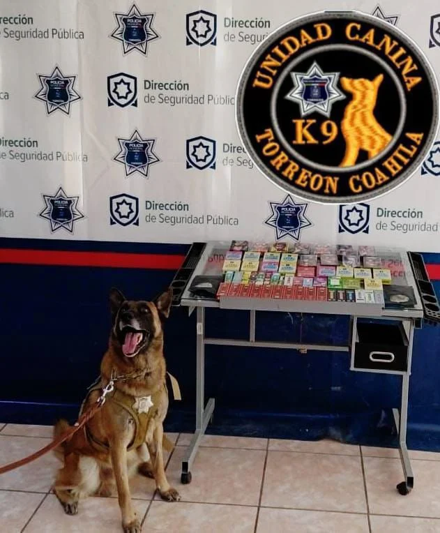 Asegura Unidad Canina paquete de vapeadores con narcóticos en paquetería de Torreón