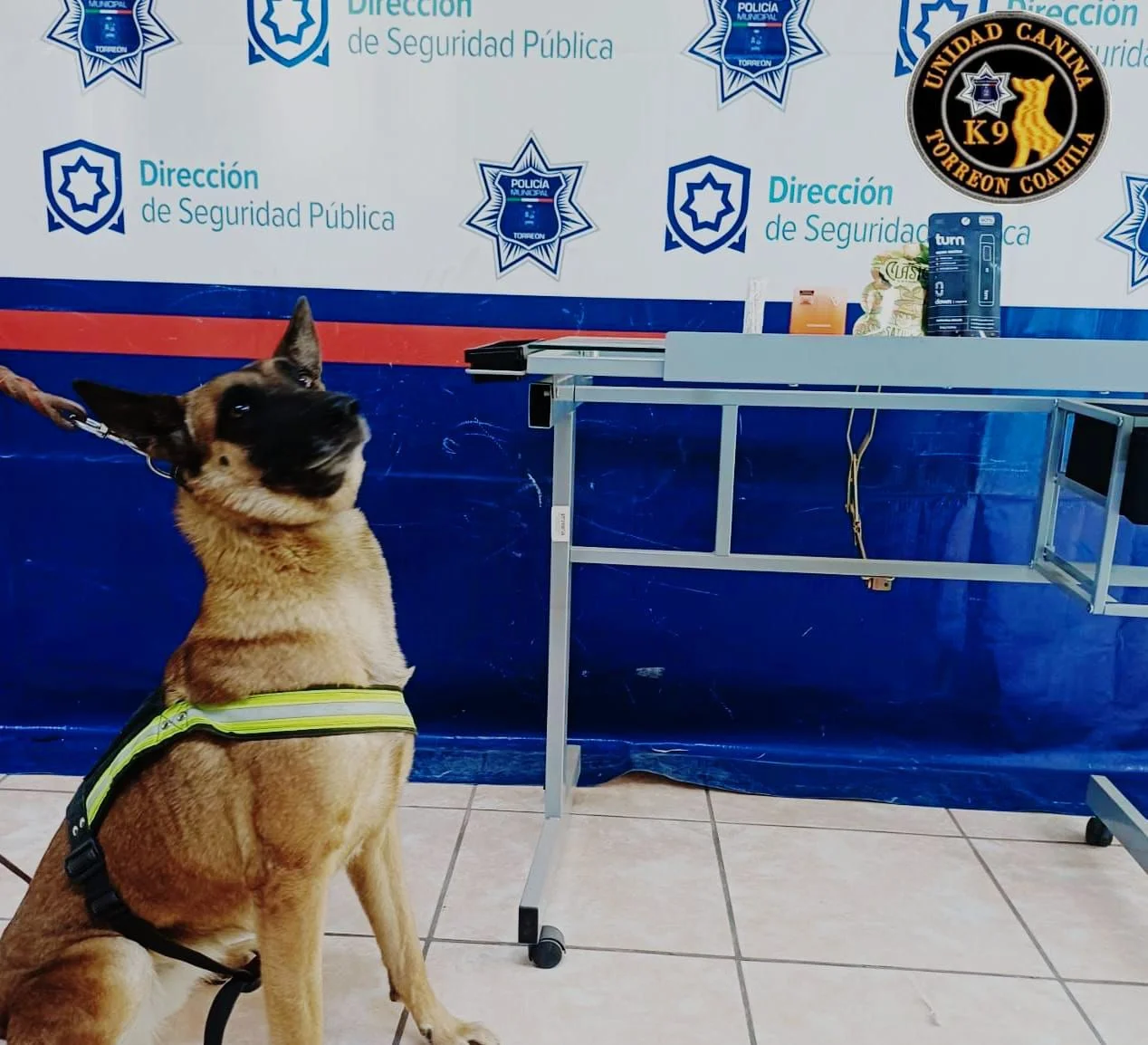 Unidad Canina K9 asegura marihuana en empresa de paquetería de Torreón