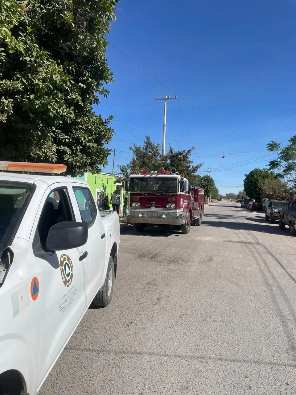 Vecinos de San Pedro, Coahuila, alertaron a autoridades tras hallar un gato montés dentro de una vivienda. El felino fue rescatado por Protección Civil y trasladado a un centro especializado para su evaluación.
