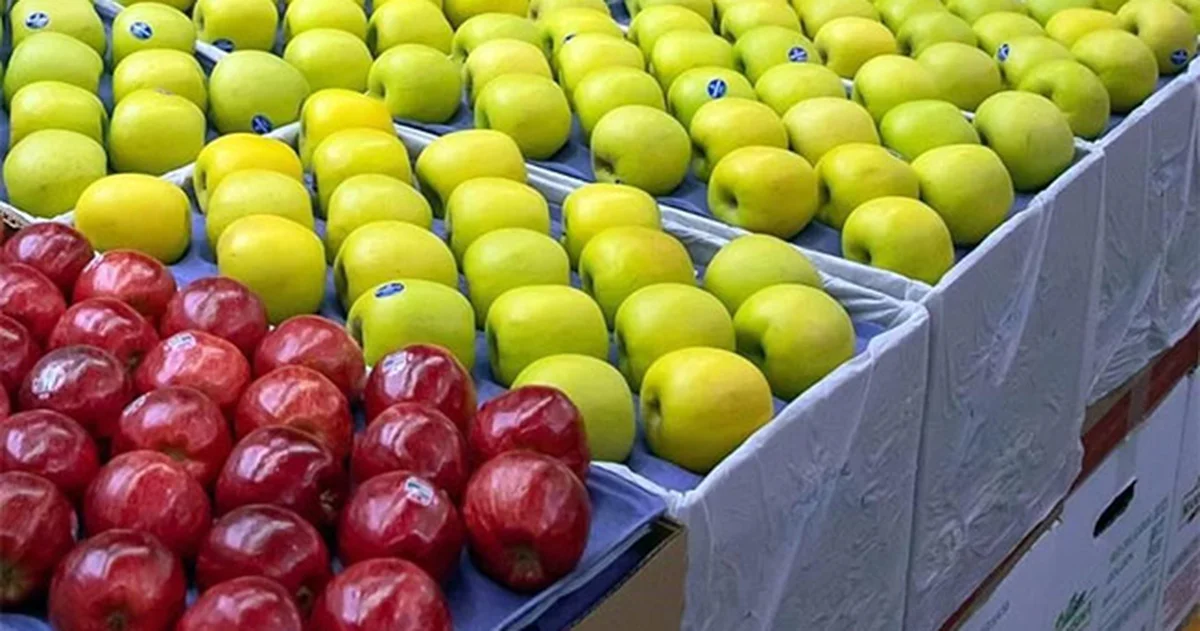 Se encontraron indicios de comercialización a precios inferiores a su valor normal