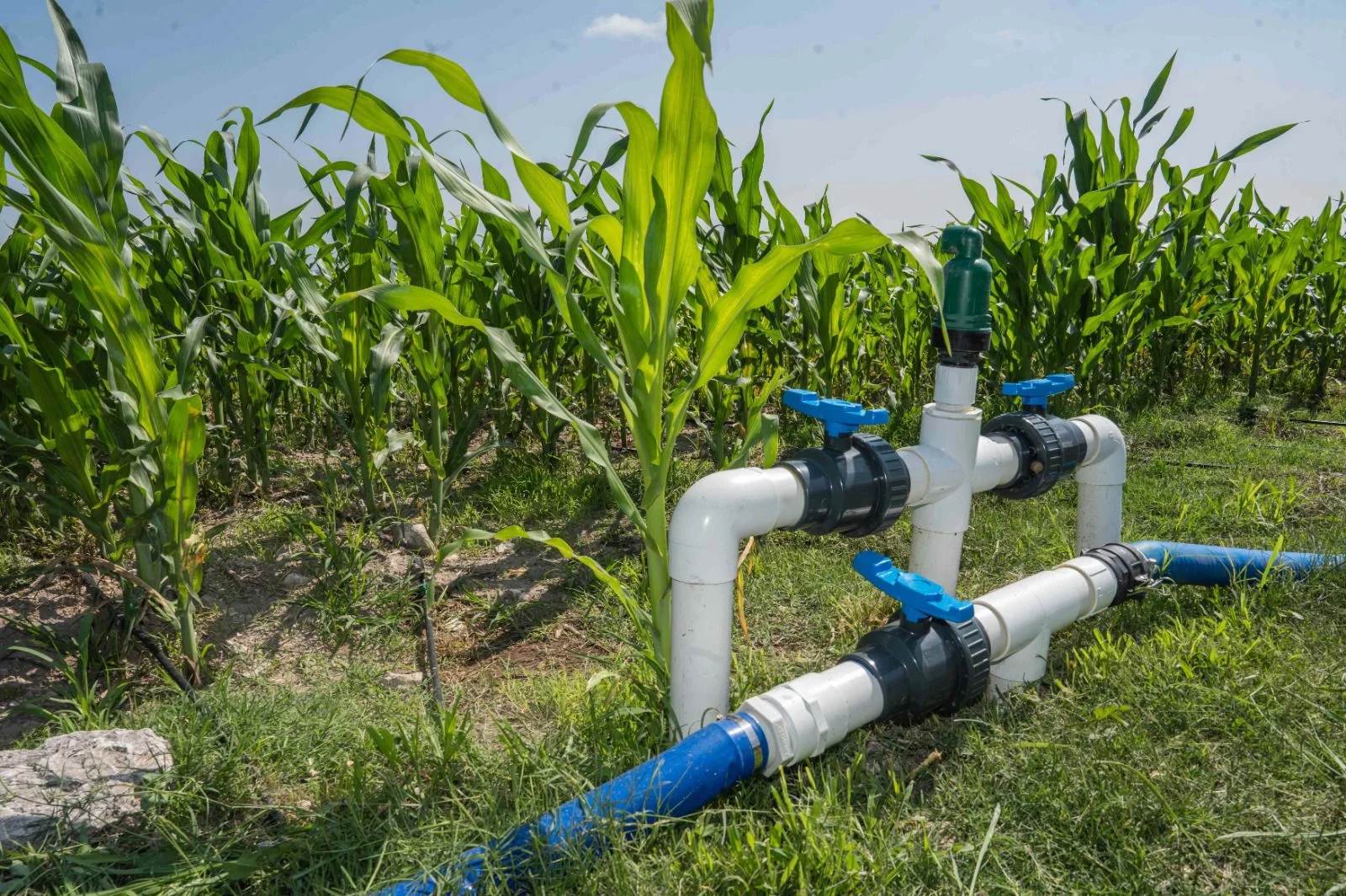Amplían hasta 2026 el plazo para inscribirse al subsidio eléctrico agrícola. Productores podrán regularizar su situación y mantener el apoyo para bombeo de agua.