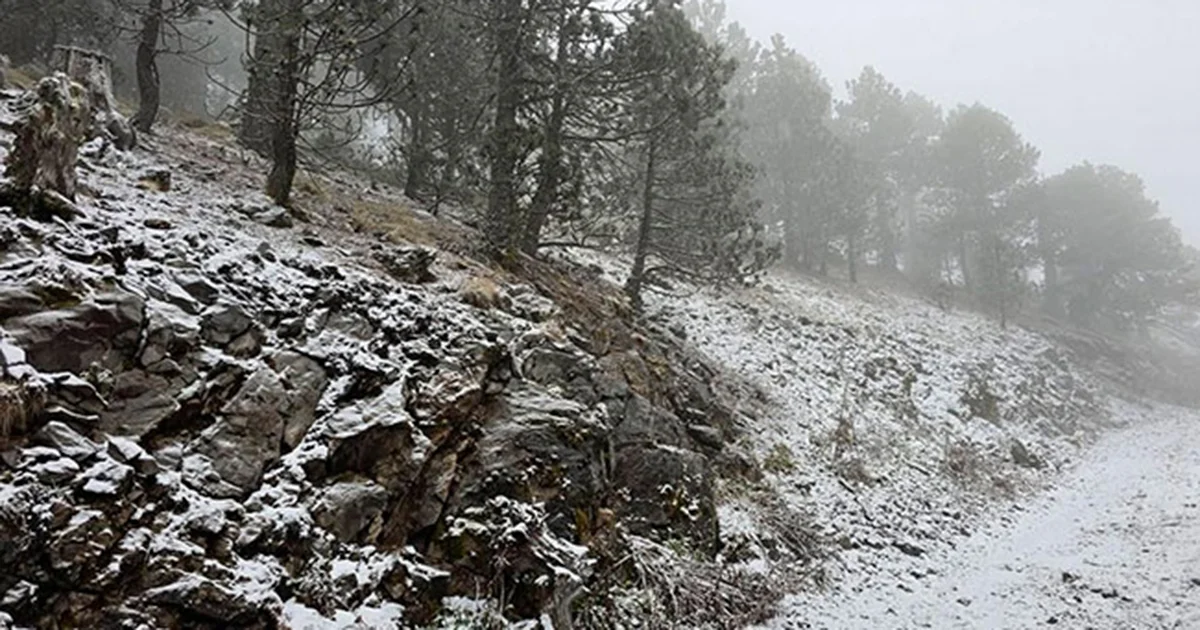 Protección Civil reporta caída de nieve en la parte alta de Galeana, NL