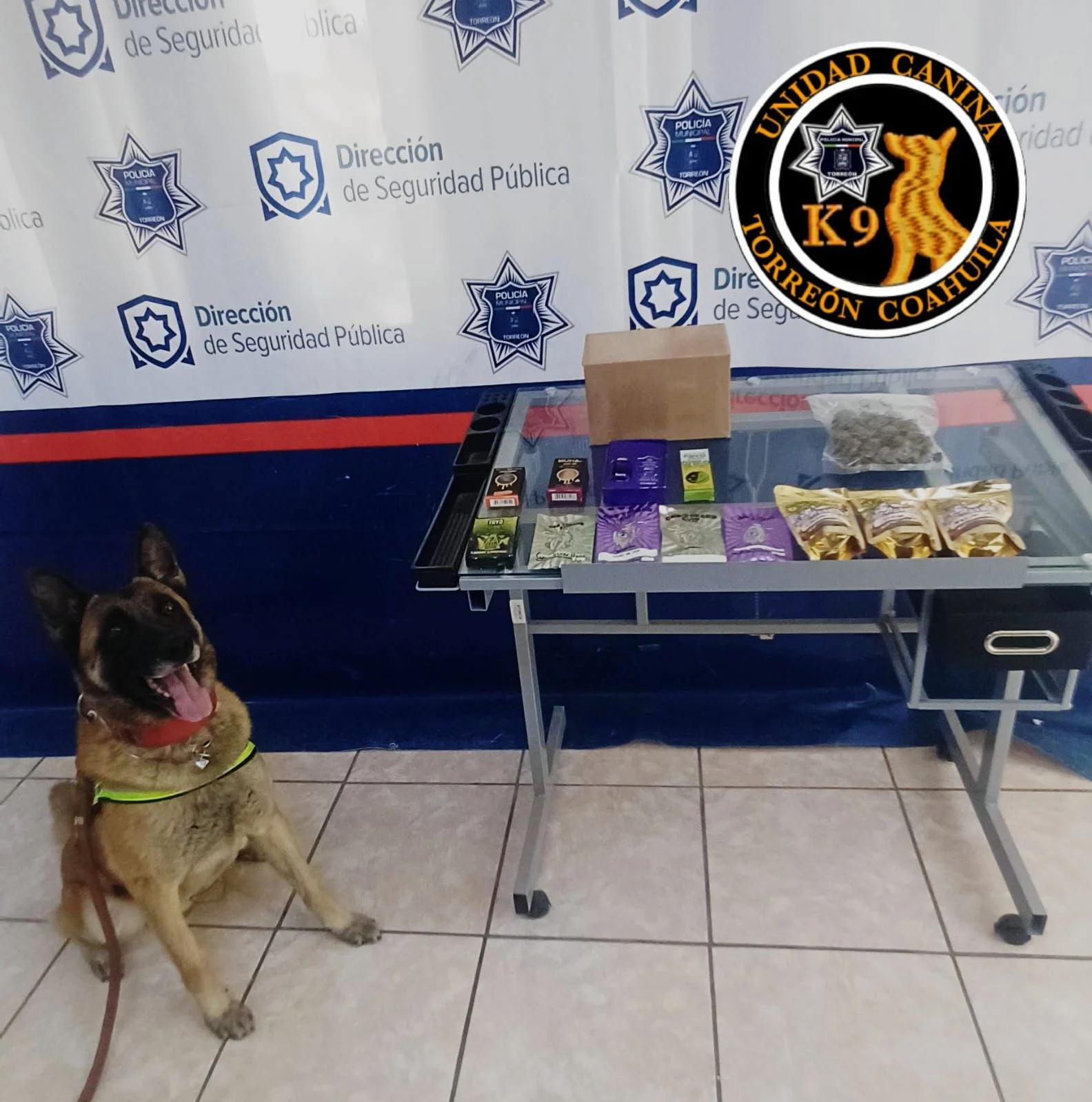 Asegura Unidad Canina paquete con marihuana y vapeadores con extracto de cannabis en empresa de paquetería en Torreón