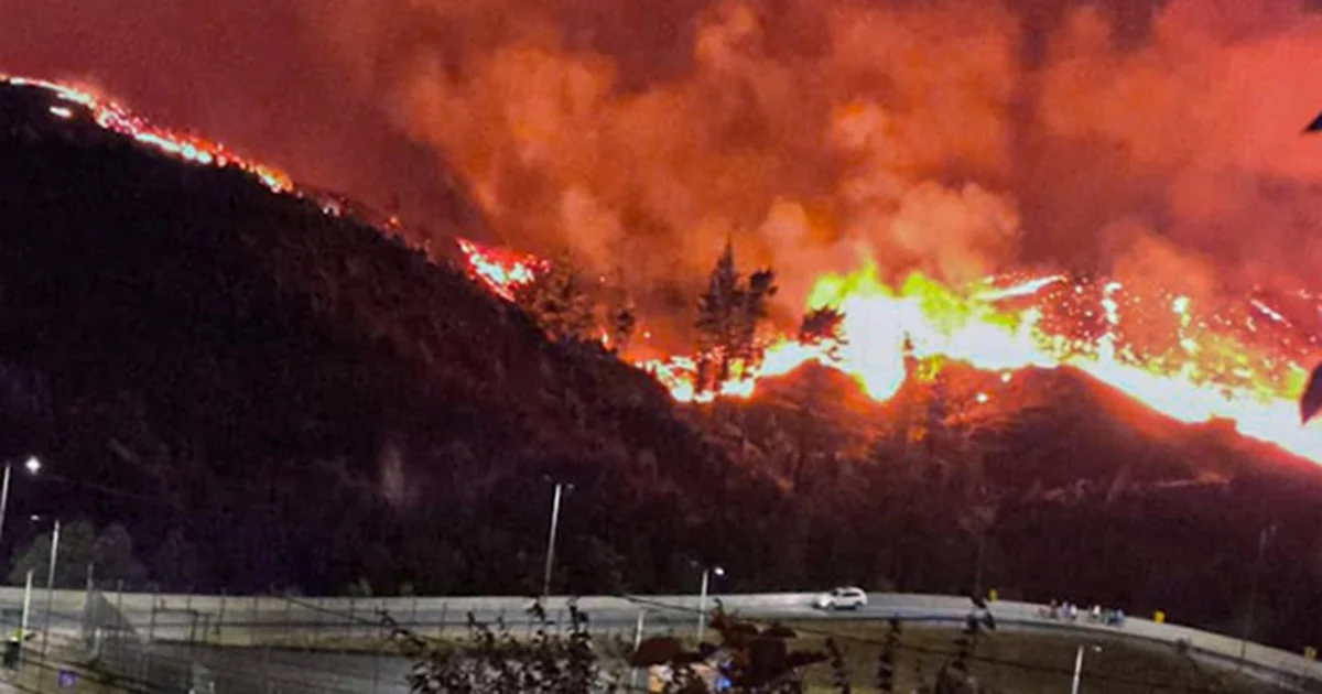 Se han quemado unas 8 mil hectáreas de plantaciones de bosques y han arrasando con centenares de viviendas y causando decenas de muertos