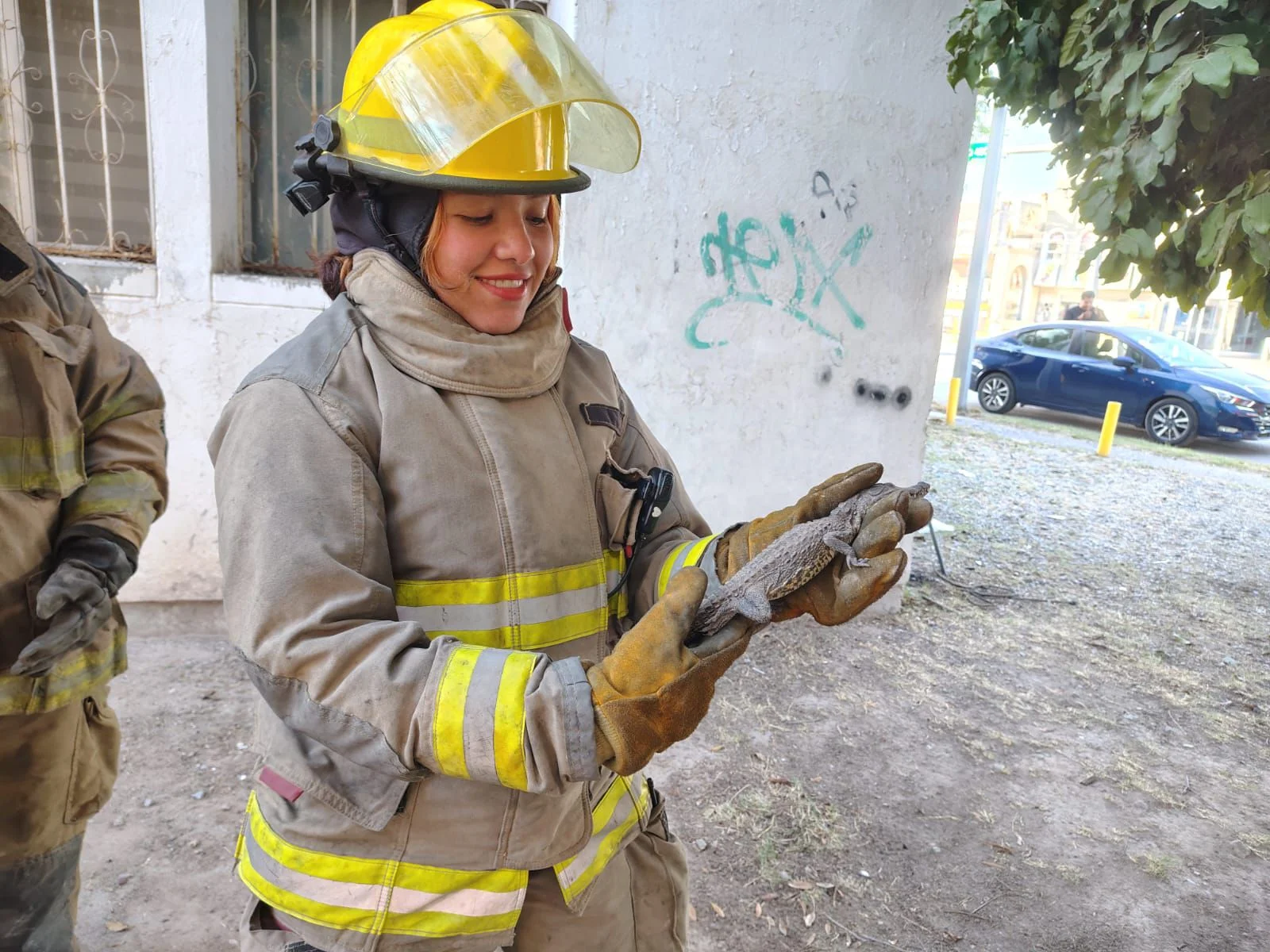 Bomberos rescatan reptil desorientado en Torreón