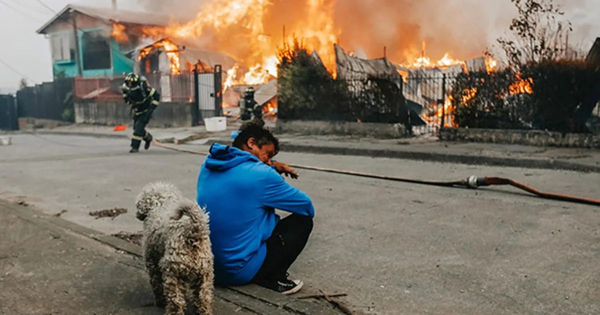 'México enviará apoyo a Chile tras incendios que han dejado 19 muertos', confirma Sheinbaum