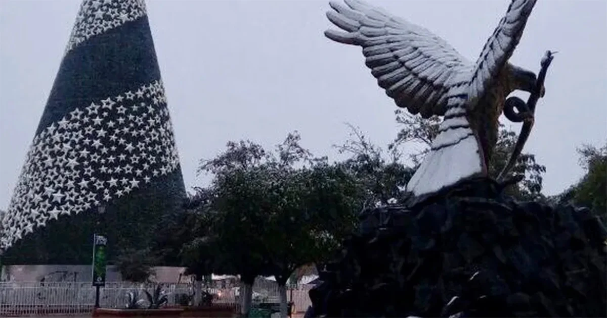 Se espera el ingreso de los frentes fríos 30 y 31 con interacción de una masa de aire ártico y las corrientes de chorro