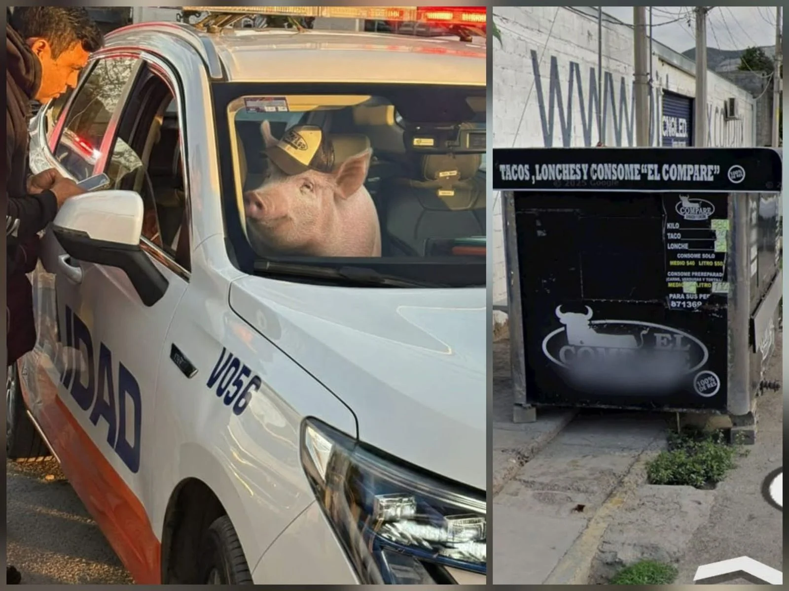 Conductor intenta huir tras ser sorprendido arrojando basura en vía pública de Mérida. Vecinos alertaron al 911 y Tránsito logró su detención.