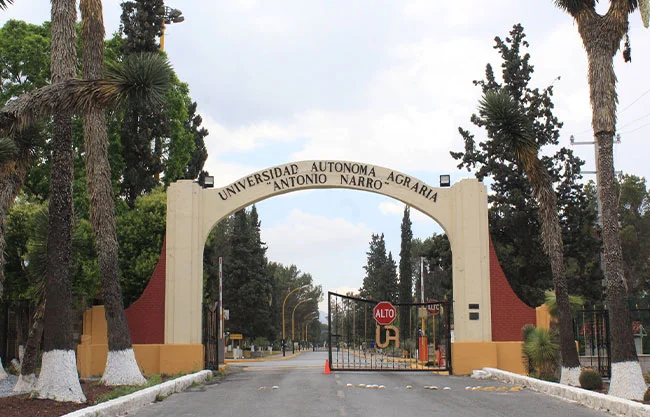 UAAAN mantiene denuncias: facturas falsas constituyen delito federal