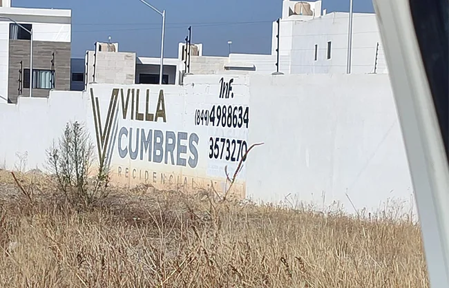 La violencia contra animales vuelve a encender las alertas en Saltillo luego del hallazgo de varios seres sintientes brutalmente atacados.