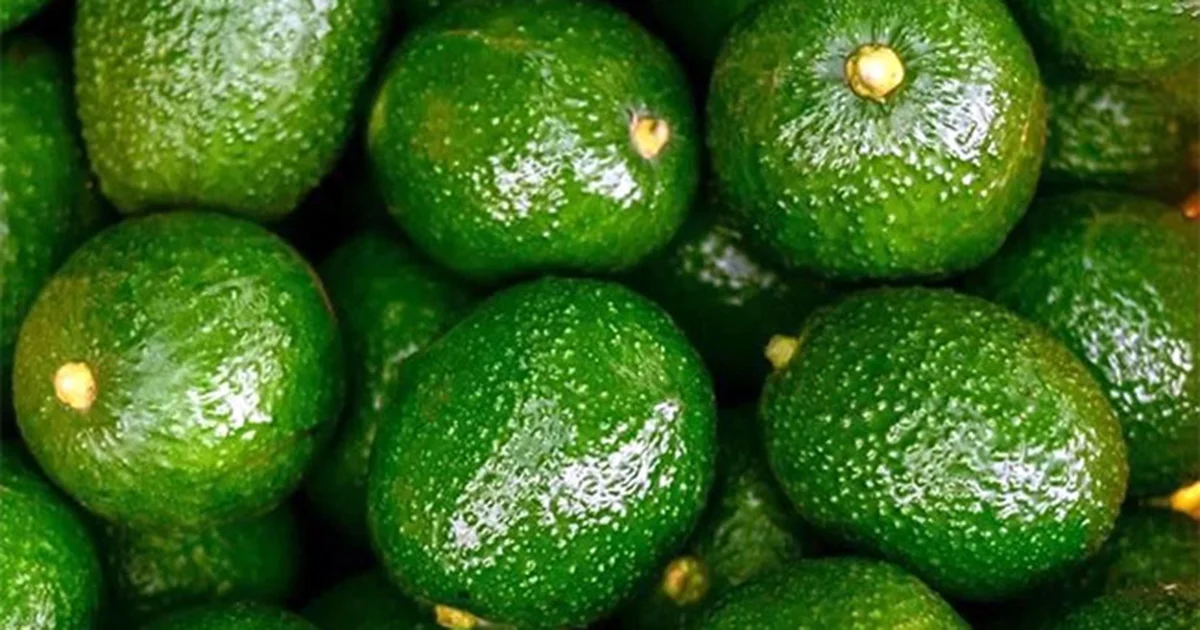 Enfrentan extorsiones que equivalen al 3 y hasta el 5 por ciento de los costos de sus cadenas de abasto, distribución y comercialización del producto