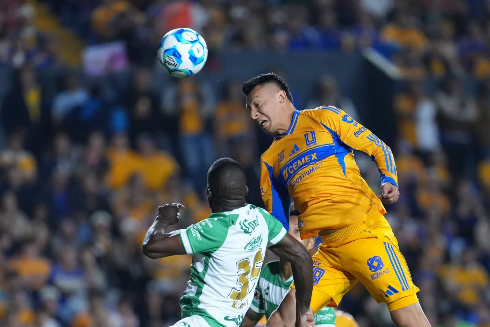 Los albiverdes siguen sumidos en una crisis que cada vez es más normalizada por aficionados de los Guerreros