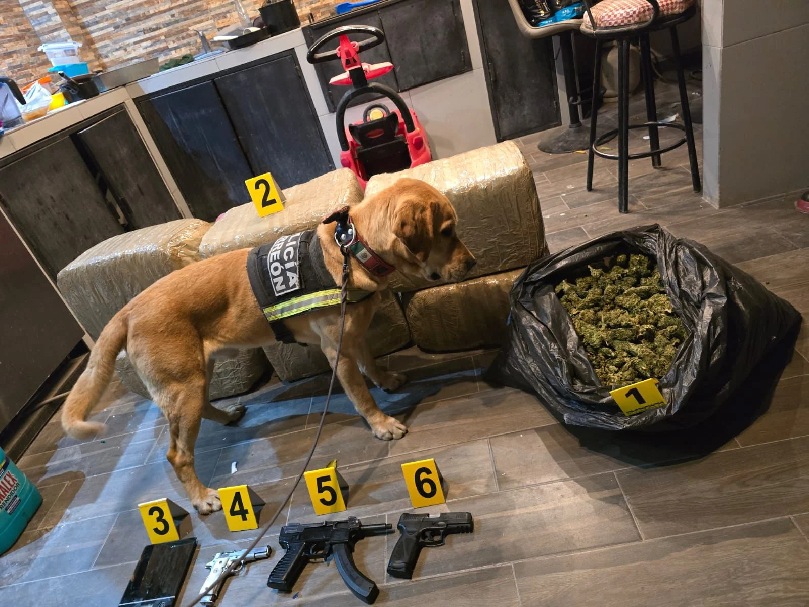 PAR asegura 65 kilos de marihuana y tres armas de fuego tras operativo en Torreón