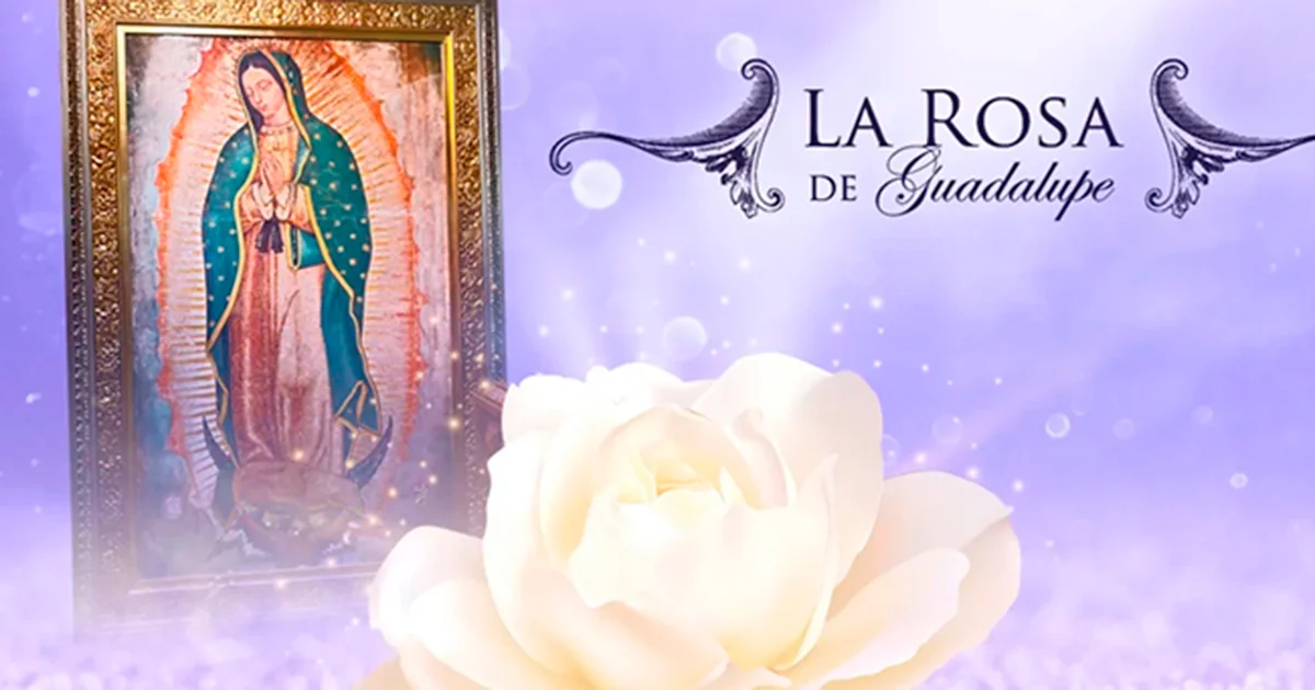 La Rosa de Guadalupe celebra 19 años de transmisiones ininterrumpidas, manteniéndose como una de las emisiones más exitosas de la televisión abierta
