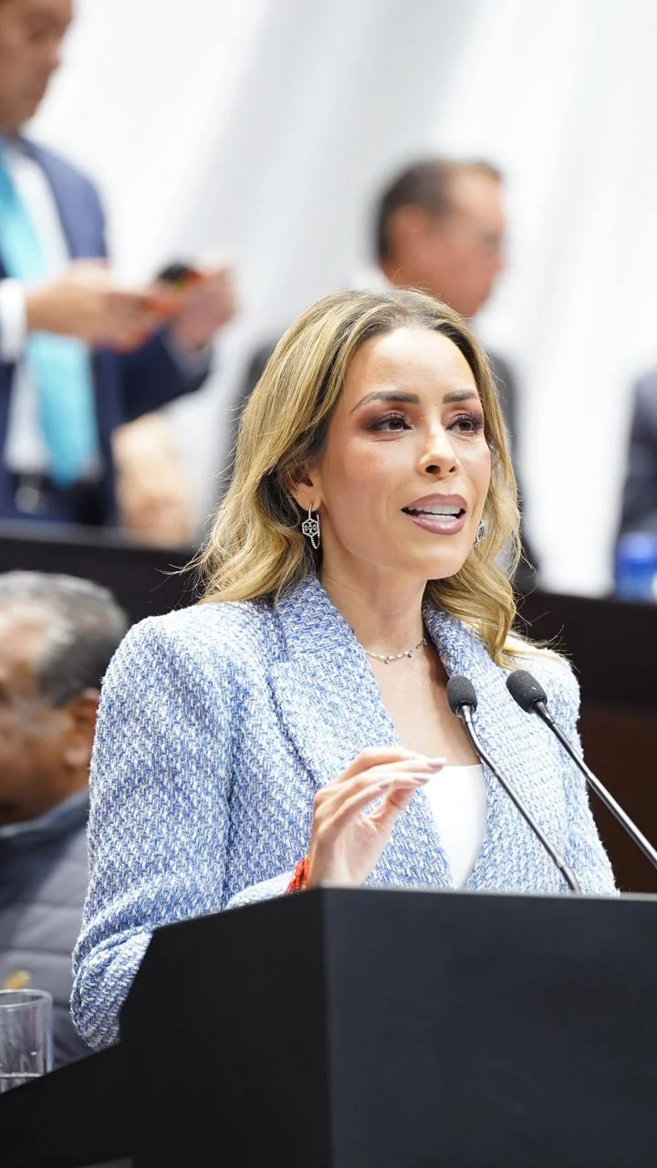 Diputados tipifican el acecho como delito en el Código Penal Federal. La reforma busca proteger la privacidad y seguridad de las personas con sanciones de prisión.
