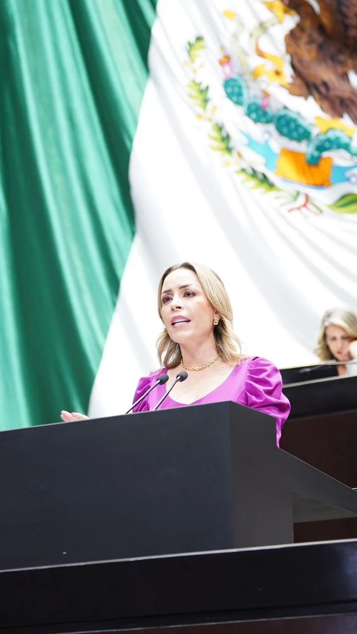 Diputada propone Ley General de Prevención del Suicidio para crear una política nacional articulada que atienda esta problemática de salud pública.