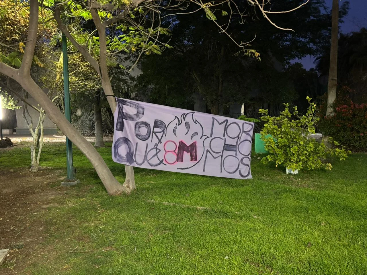 Ecofeminismo: la crítica que une la lucha ambiental con la liberación de las mujeres frente al sistema capitalista que mercantiliza la vida.