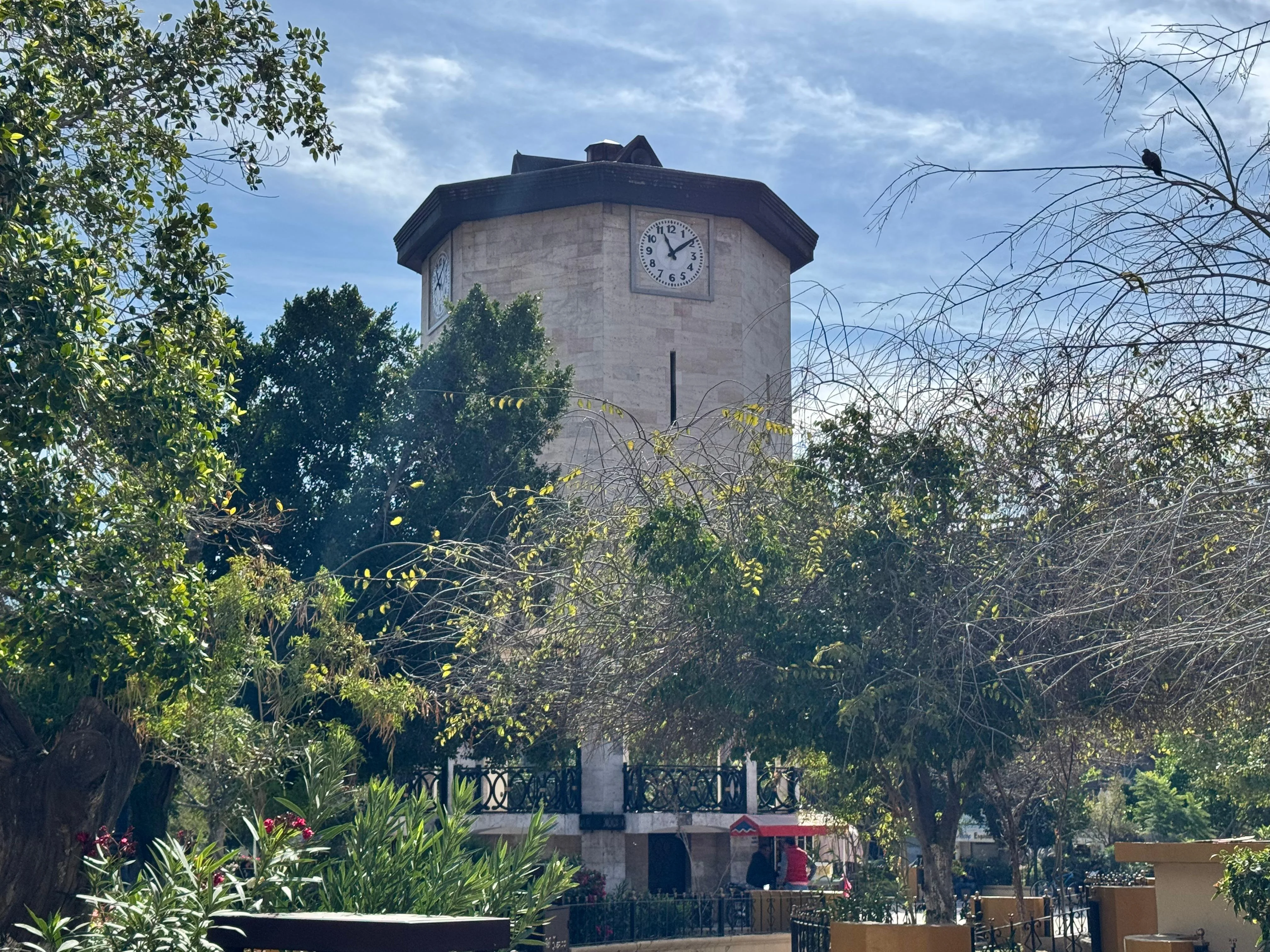 Obras en el Centro Histórico de Torreón avanzan por etapas