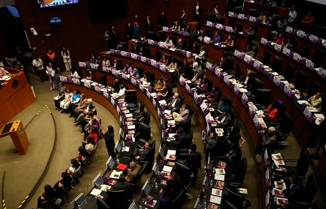 Ante la urgencia de una legislación integral, Tejiendo Redes Infancias solicitó al Senado convocar de inmediato a un Parlamento Abierto