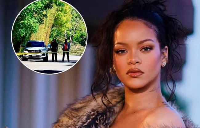 Detienen a mujer por disparar contra la mansión de Rihanna