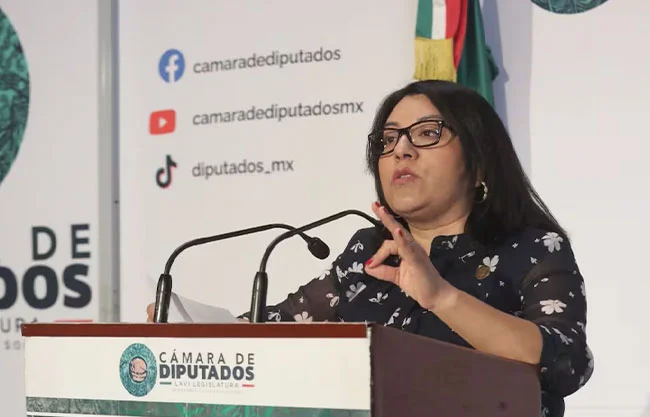 Cruz Jiménez calificó estas acciones como un "atentado contra la vida democrática" y comparó la estrategia con tácticas del crimen organizado