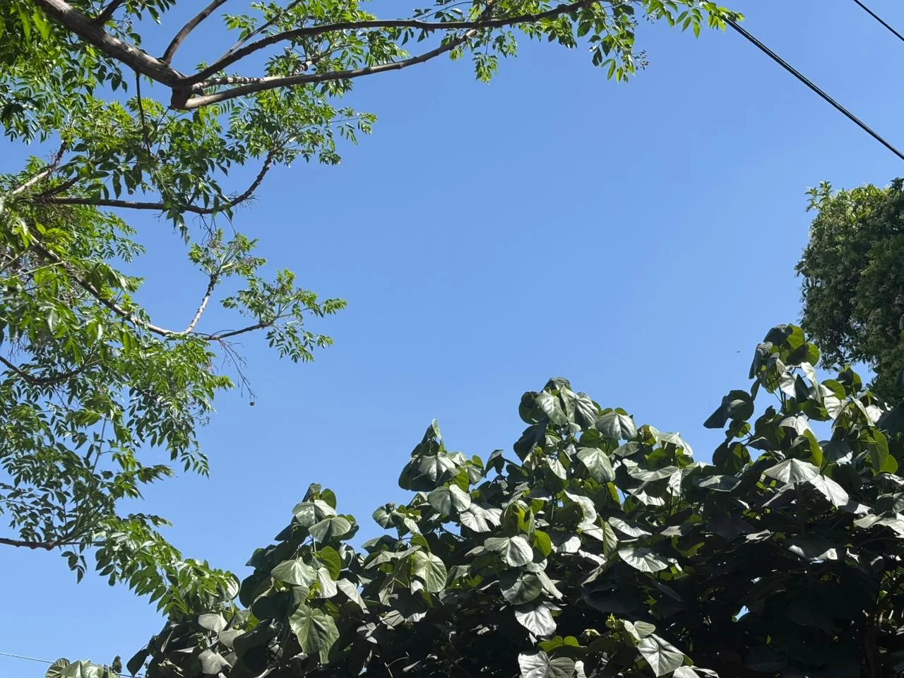 La Comarca Lagunera enfrenta choques térmicos de 7°C a 30°C en un día, con alta radiación solar que representa un riesgo para la salud pública.