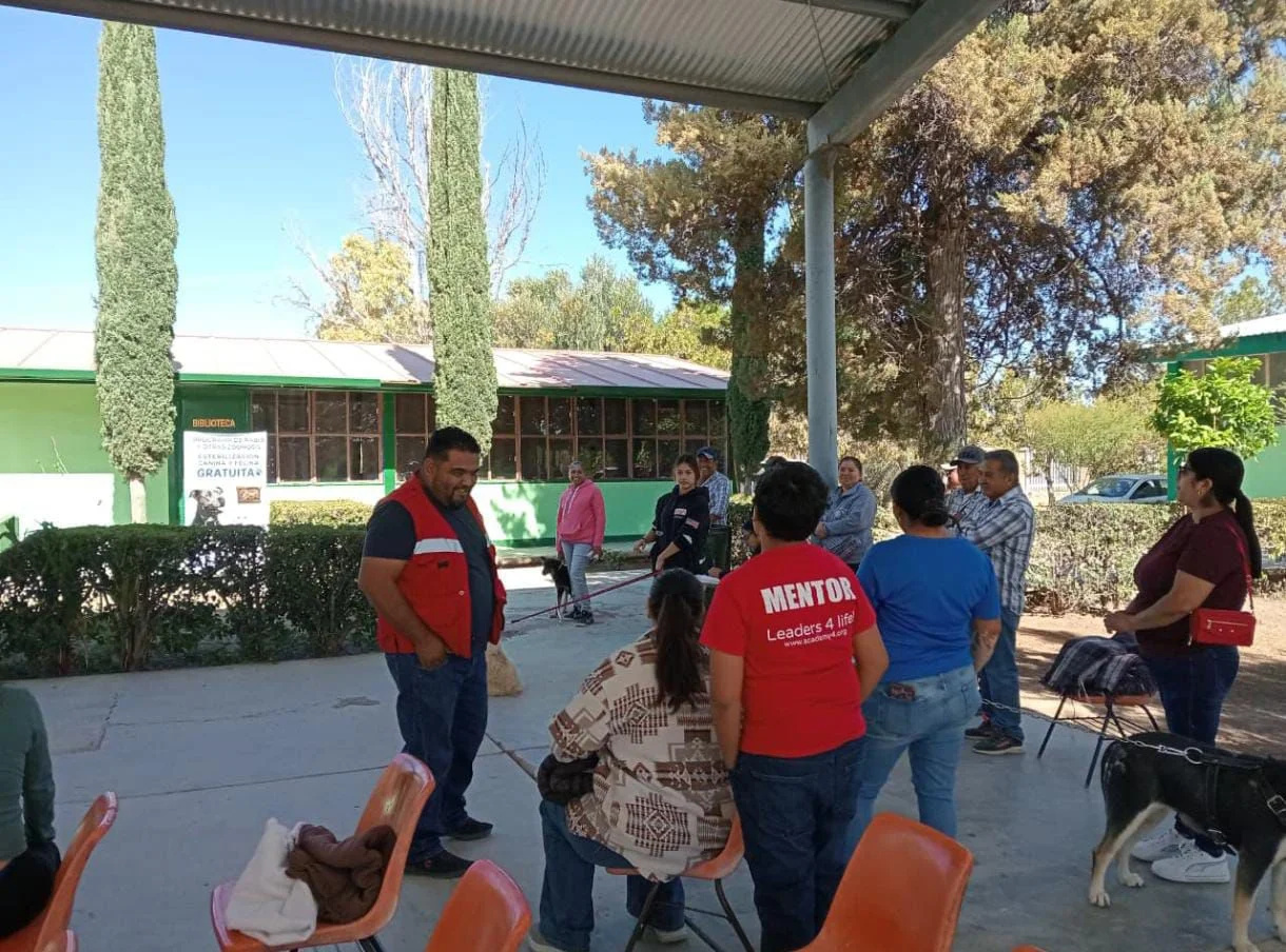 Autoridades sanitarias esterilizaron 52 mascotas en San Juan de Guadalupe para controlar la población animal y prevenir enfermedades como la rickettsia.