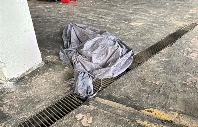 SSC informó que fan en estado de ebriedad murió tras brincar del segundo al primer nivel en la zona de palcos y caer en el Estadio Banorte.