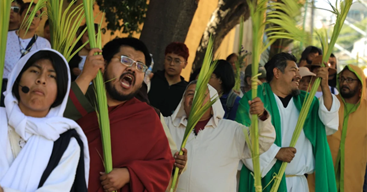 Los Evangelios del Nuevo Testamento relatan que a Jesús lo recibió una multitud que agitaba ramos de palma y olivo como gesto de aclamación