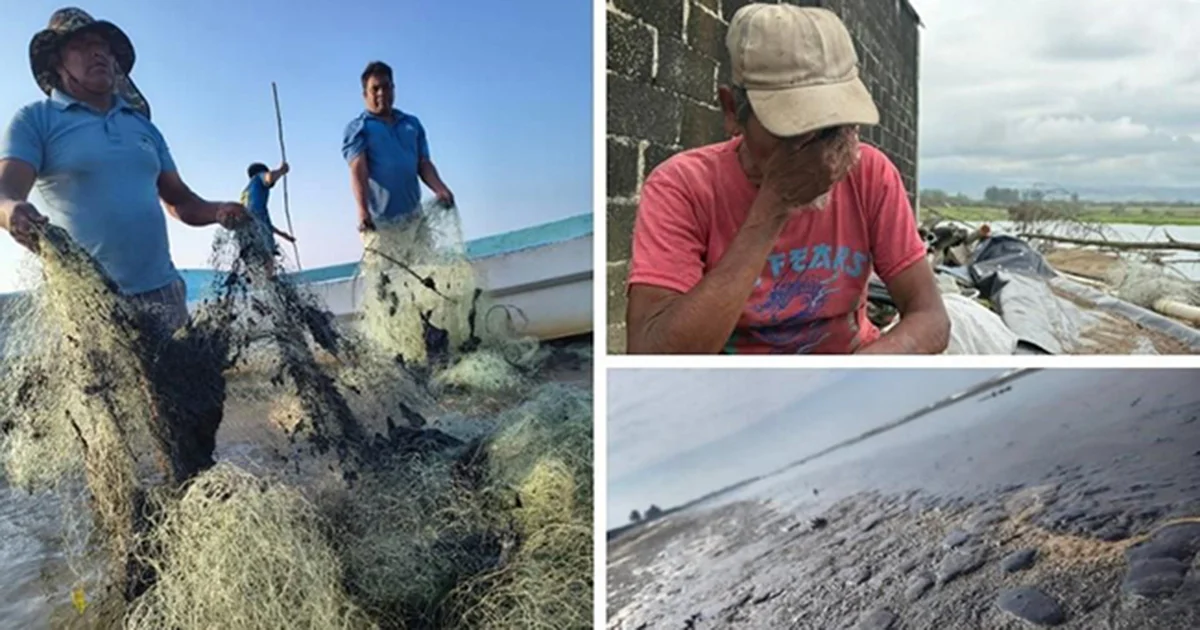 Entre abandono y sin responsables claros, pescadores y comerciantes sobreviven vendiendo pescado malbaratado.