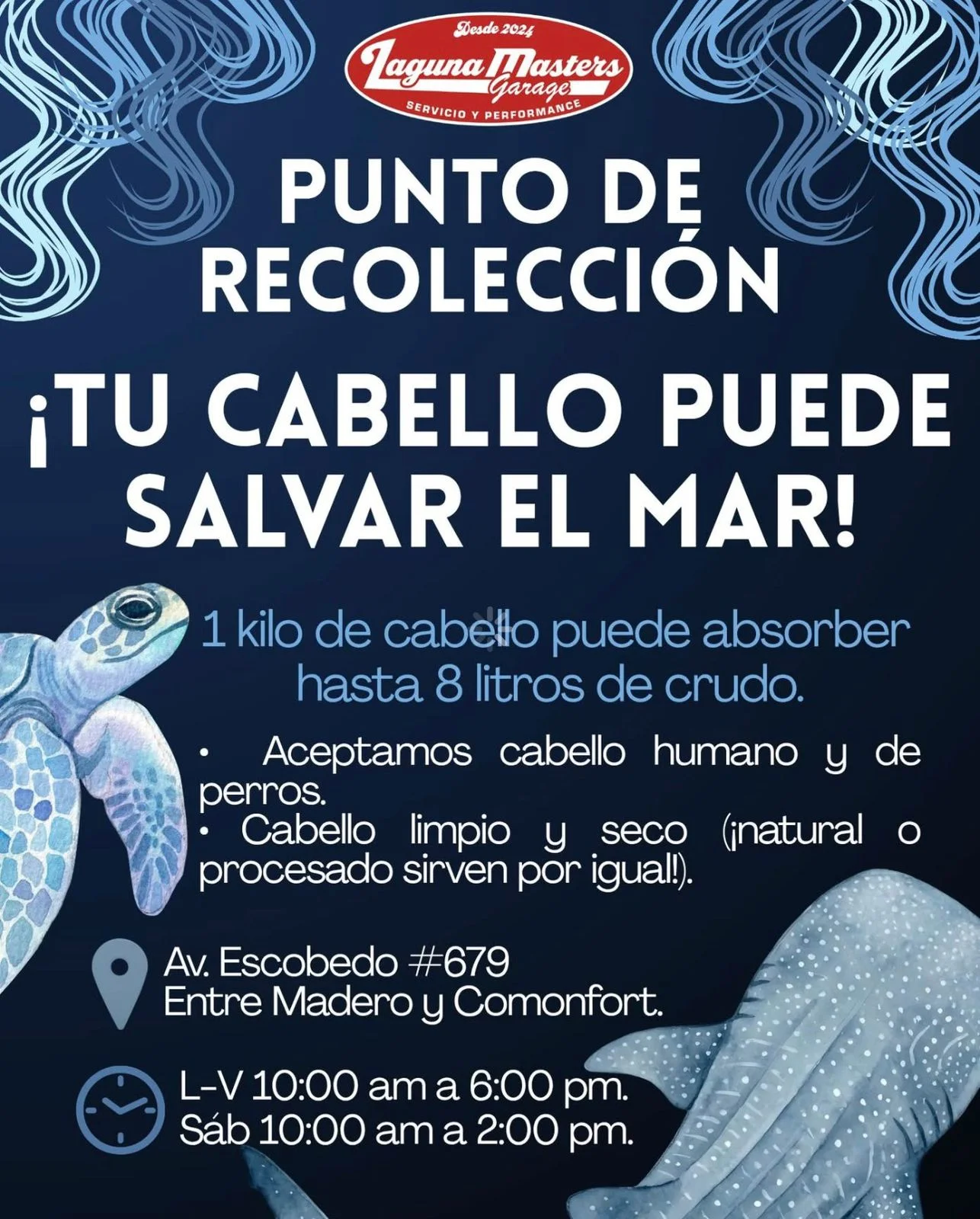 Ciudadanos de Torreón organizan centro de acopio de cabello para ayudar a contener derrame de petróleo en costas nacionales, sumándose a la iniciativa ecológica.