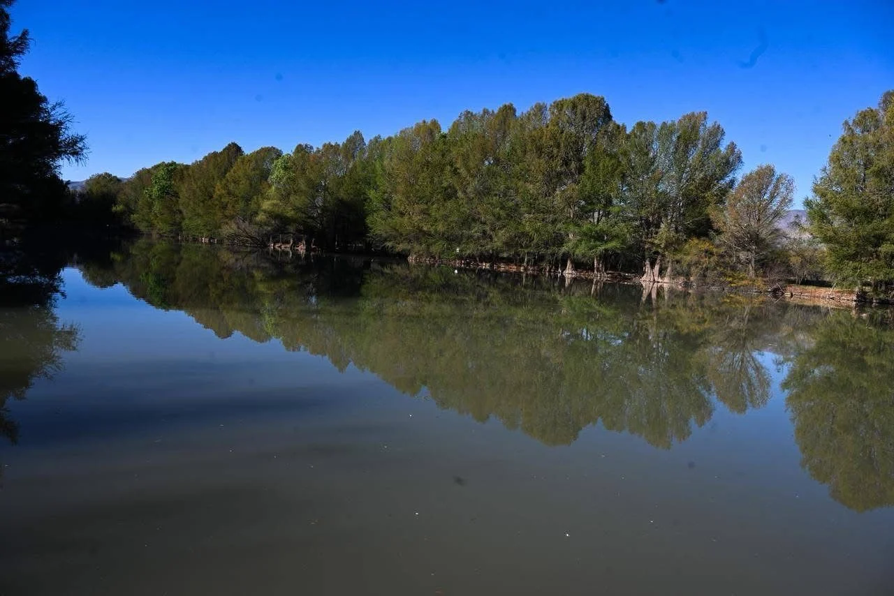 Llaman a no ensuciar parajes naturales de la Laguna