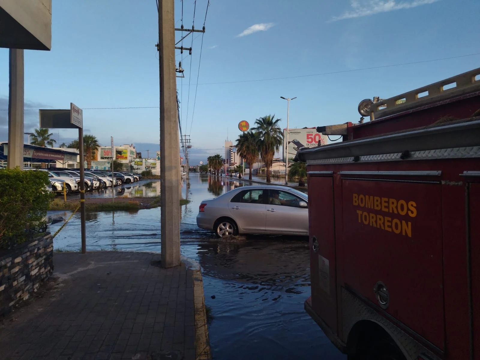 Torreón enfrenta afectaciones por lluvias y granizo: caída de árboles y cables, encharcamientos severos y daños materiales en la ciudad.