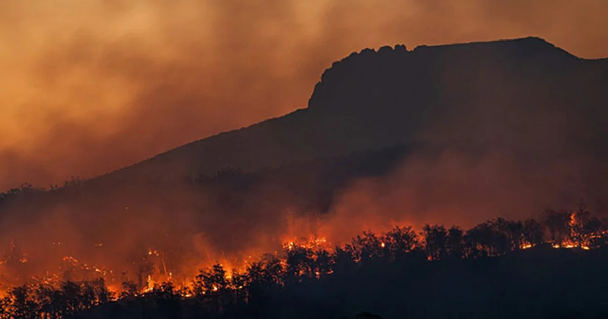 El incendio forestal se originó aproximadamente a las 11:00 horas del pasado del viernes 3 de abril
