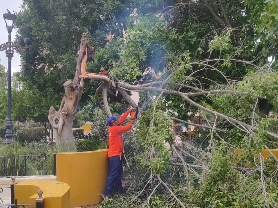 Tras intensas lluvias y granizo, servicios municipales retiran toneladas de residuos y atienden afectaciones en vialidades y drenajes de la ciudad.