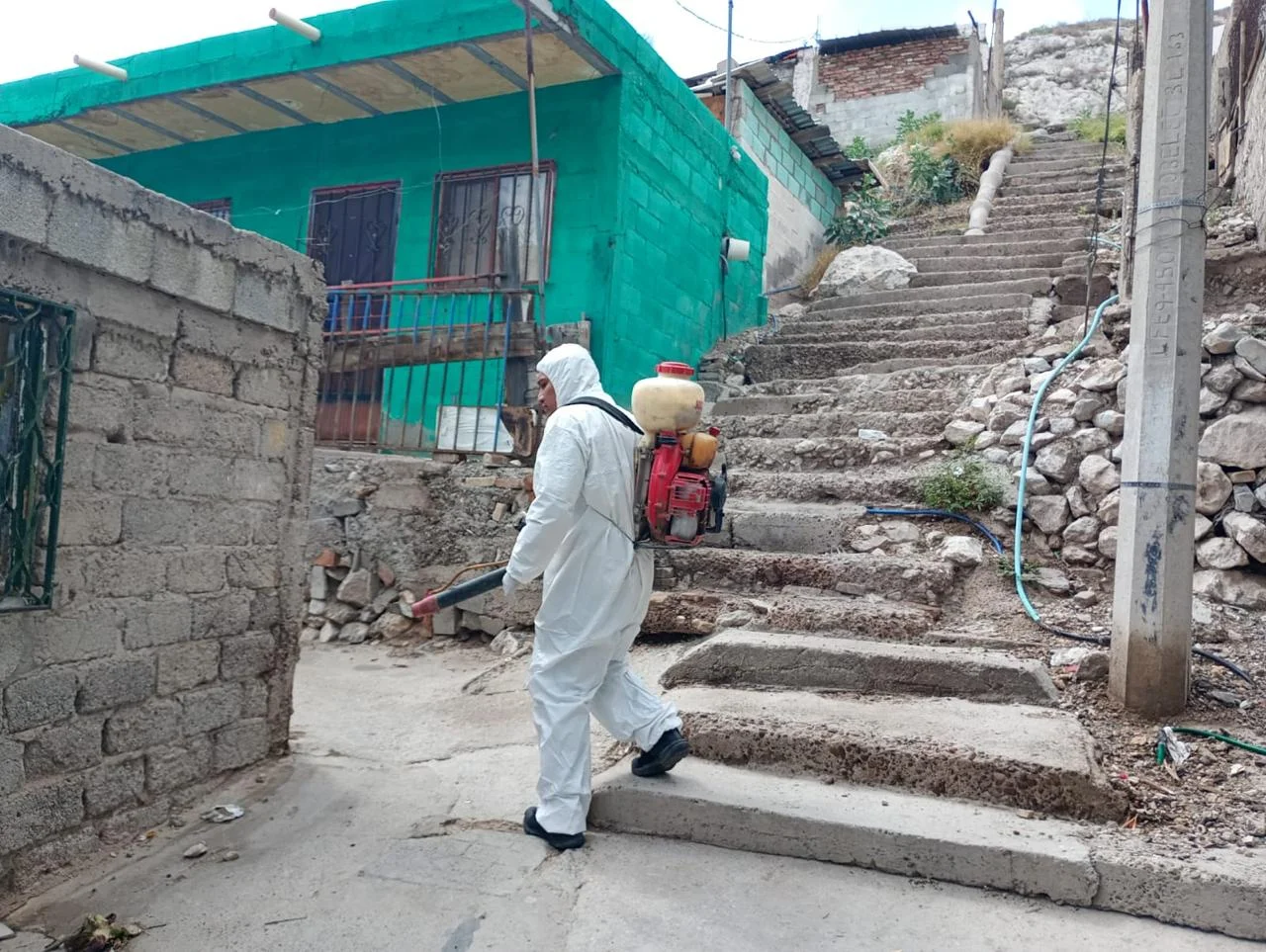 Refuerzan acciones contra mosquitos y plagas tras lluvias en Torreón