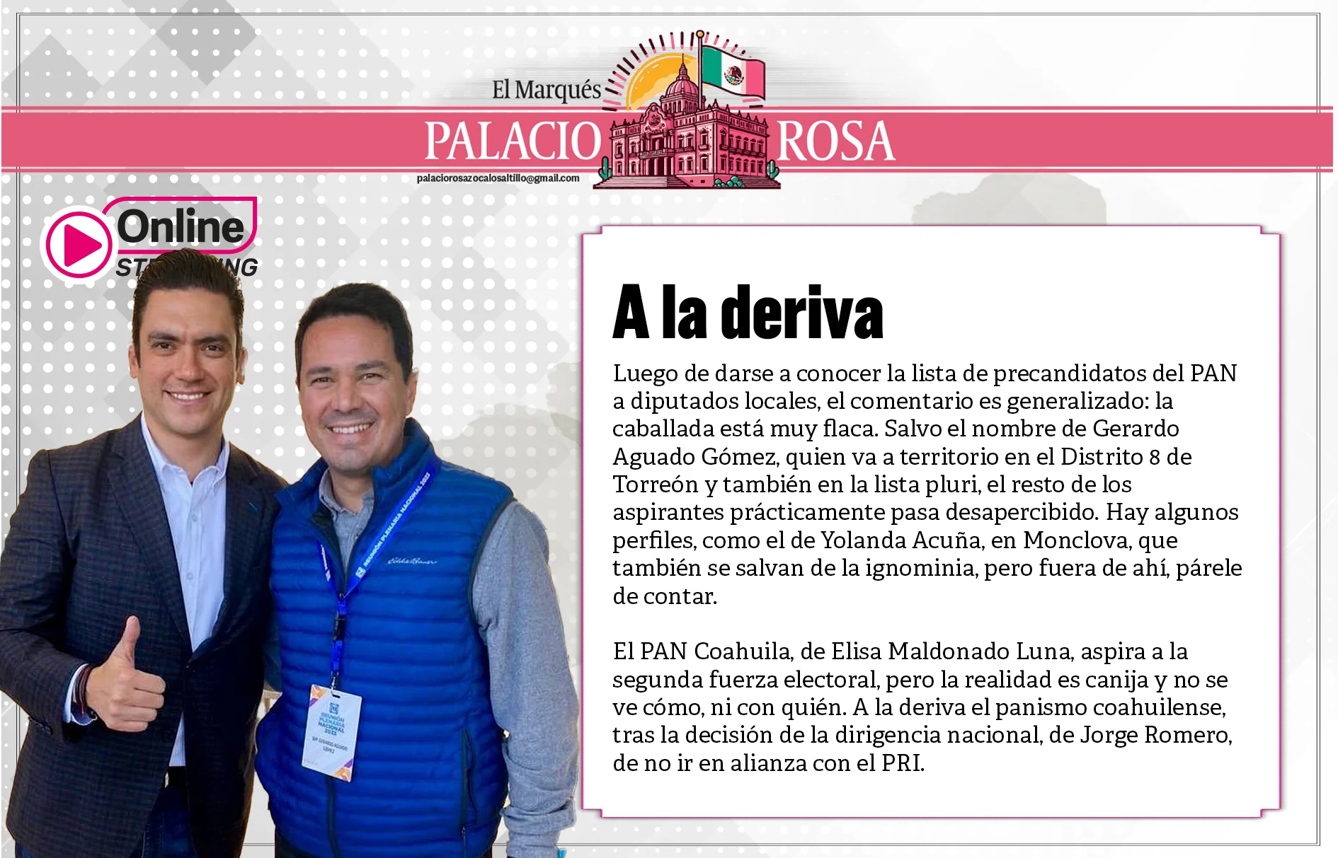 Luego de darse a conocer la lista de precandidatos del PAN a diputados locales, el comentario es generalizado: la caballada está muy flaca
