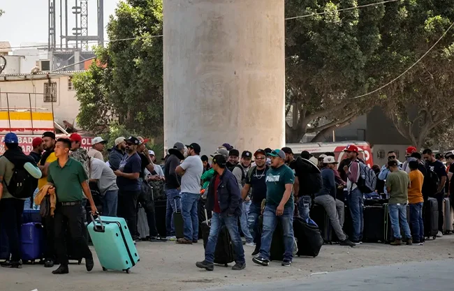 Miles de mexicanos desafían la incertidumbre migratoria para salvar la cosecha en EU