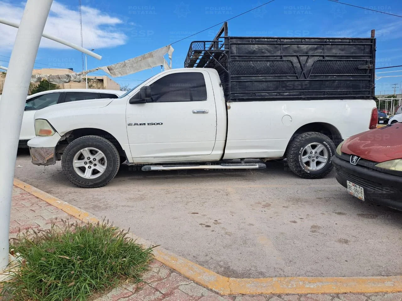 Detienen a presunto ladrón de ganado durante operativo en Gómez Palacio