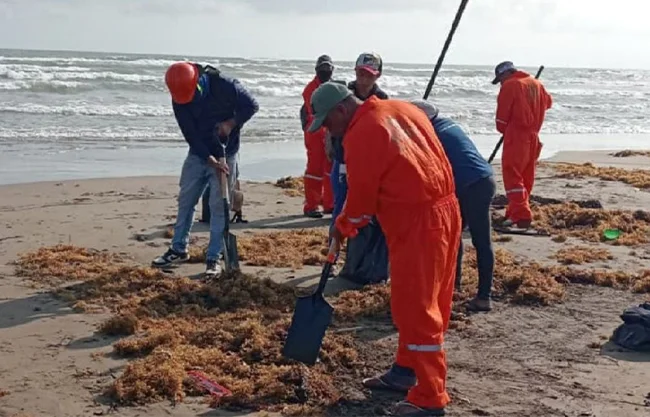 Pemex confirmó la remoción de tres funcionarios tras el derrame de combustible que alcanzó las costas del Golfo de México.