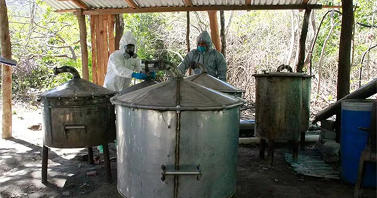 Organizaciones como el Cártel de Sinaloa y el CJNG están enviando ‘cocineros’ a Europa para operar laboratorios y producir metanfetamina a gran escala