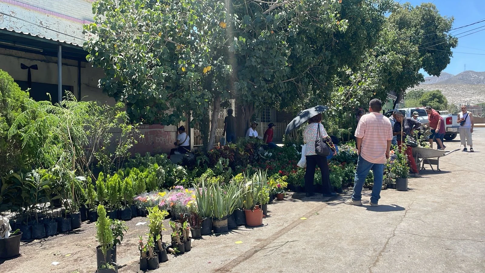 Refuerzan vigilancia en panteones y comercios por celebración del Día de las Madres
