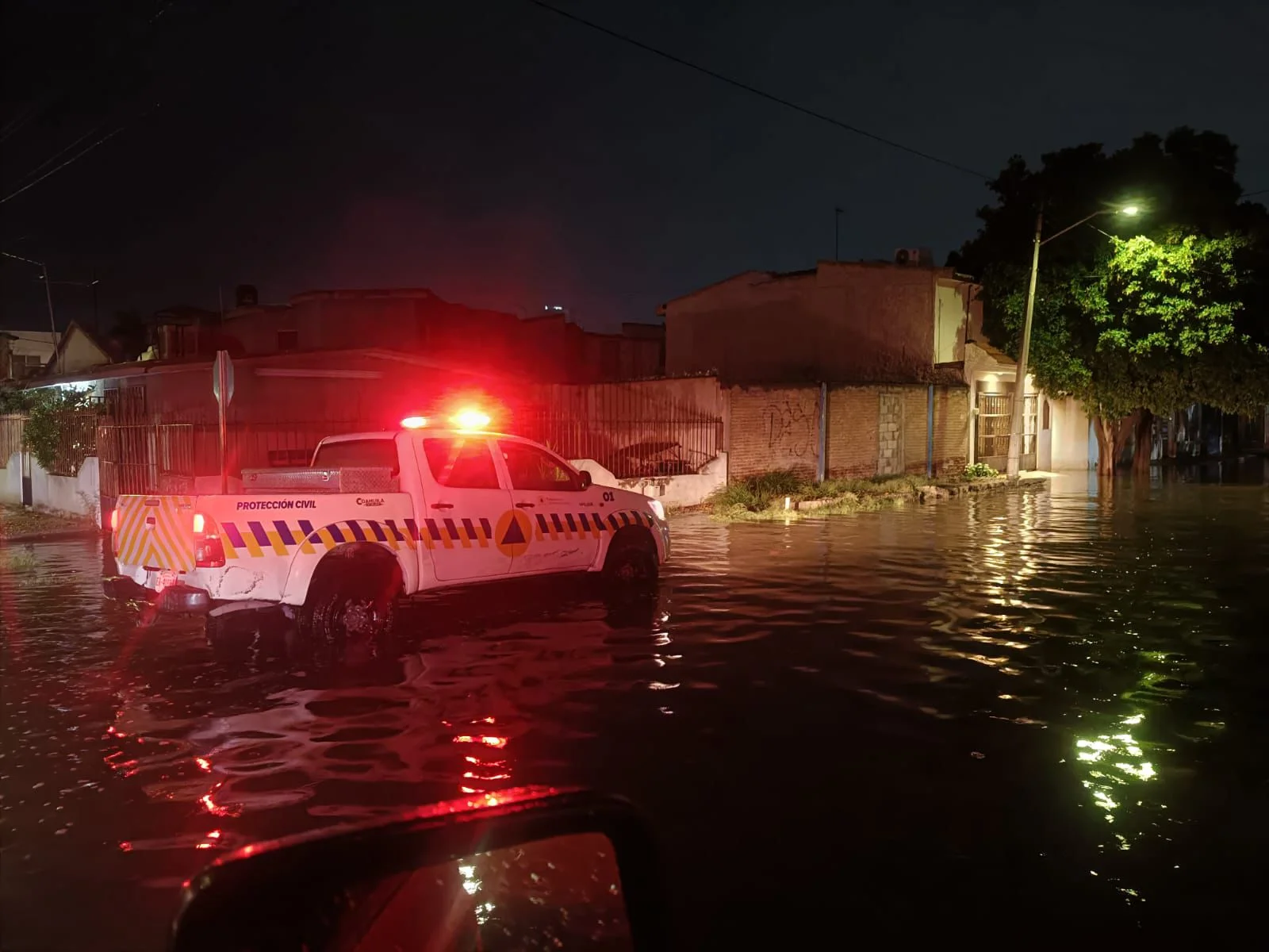 Lluvia deja encharcamientos y caída de árboles en distintos puntos de Torreón