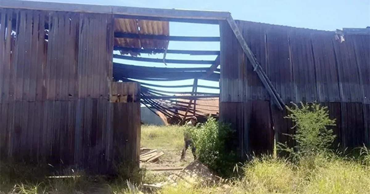 Hallan otra zona de exterminio con fosas y ‘cocinas’ clandestinas en Tamaulipas