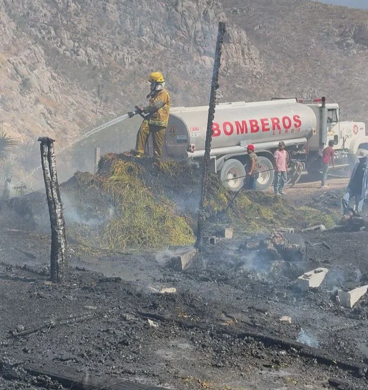 50 chivos calcinados por incendio de corral en Lerdo; no hay lesionados