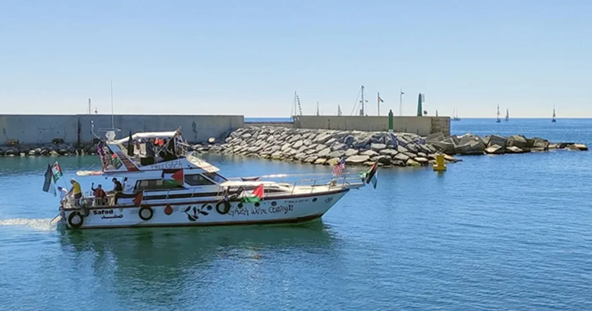 Los activistas no turcos serán deportados a sus respectivos países desde Estambul.
