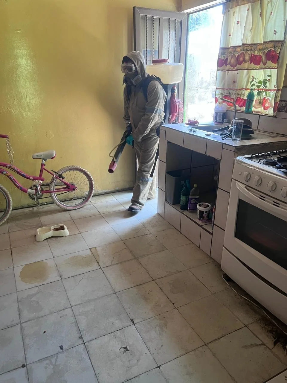 Refuerzan acciones contra el dengue en Torreón ante proximidad de temporada crítica de lluvias