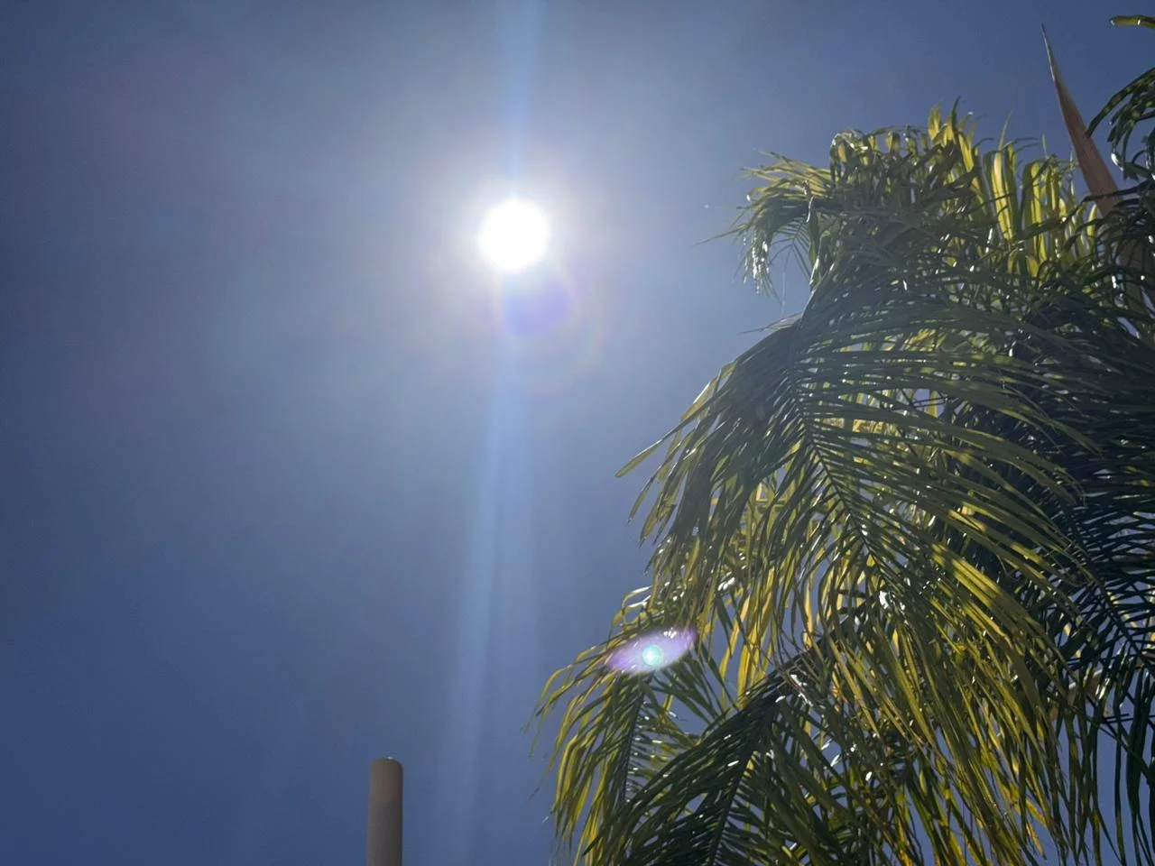 Calor extremo en La Laguna: Conagua prevé hasta 36°C en Torreón. Cielo despejado y vientos moderados. ¡Toma precauciones!